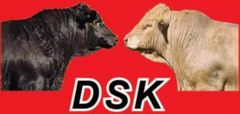 DSK Angus Logo