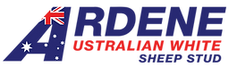 Ardene Australian White Sheep Stud Logo