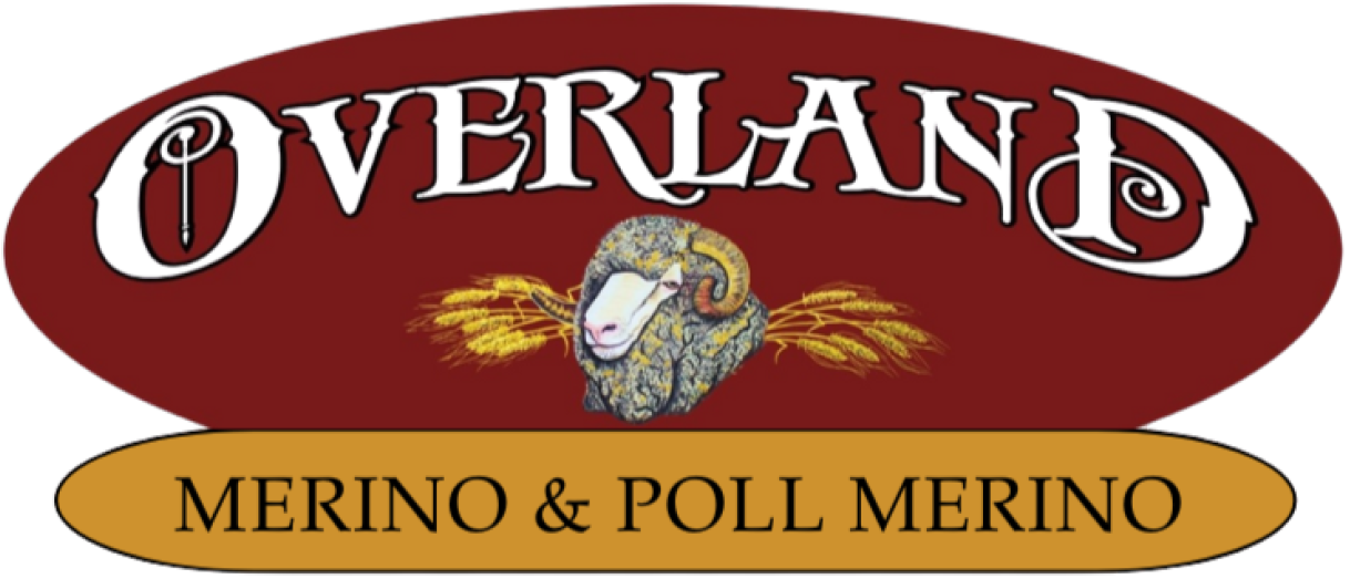 Overland Merino & Poll Merino Stud Logo