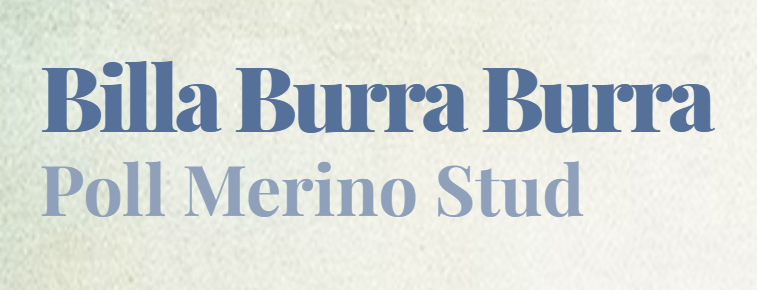Billa Burra Burra Poll Merino Stud Logo