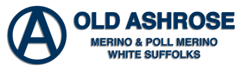 OLD ASHROSE PROPS Logo