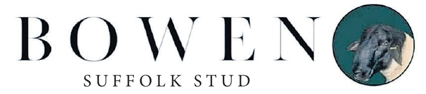 Bowen Suffolk Stud Logo