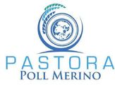 Pastora Poll Merino Stud Logo