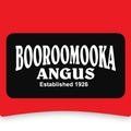 Booroomooka Angus Logo