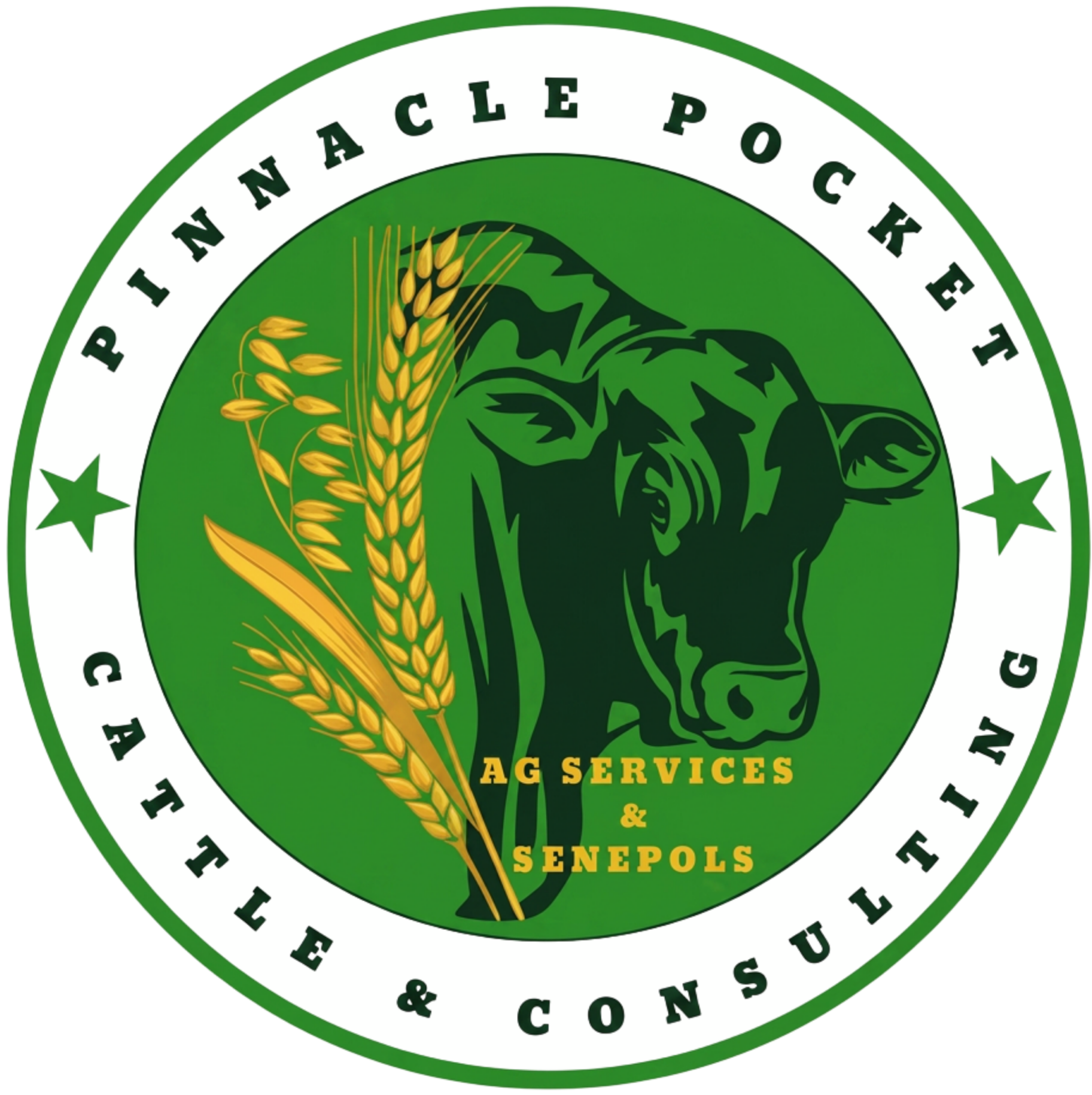 Pinnacle Pocket Logo