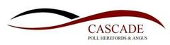 Cascade Studs Logo