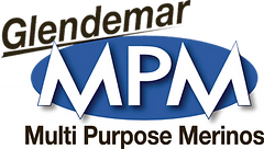 Glendemar Poll Merino Stud Logo
