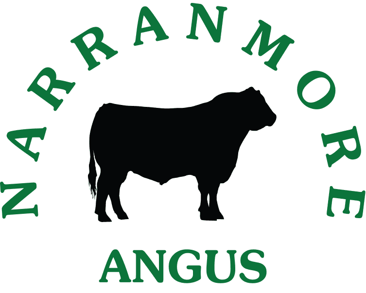 Narranmore Angus Logo
