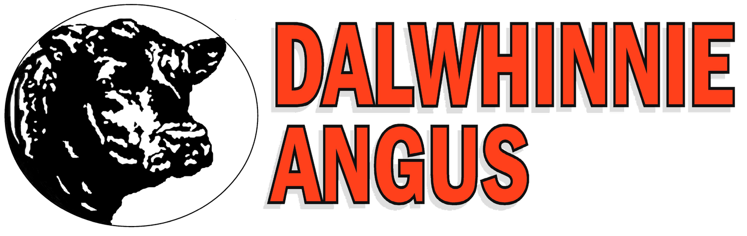 Dalwhinnie Angus Logo