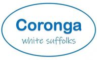 Coronga White Suffolks Logo