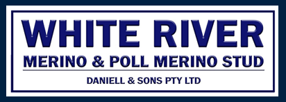 White River Merino and Poll Merino Stud Logo