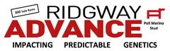 Ridgway Advance Poll Merino Logo