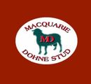 Macquarie Dohnes Logo