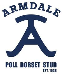 Armdale Poll Dorset Stud