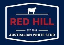 Red Hill Australian Whites
