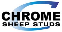 Chrome Sheep Studs