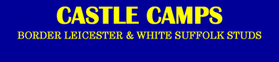 Castle Camps White Suffolk
