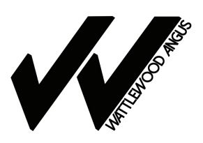 Wattlewood Angus Stud