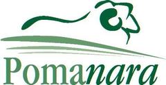 Pomanara Merino Stud