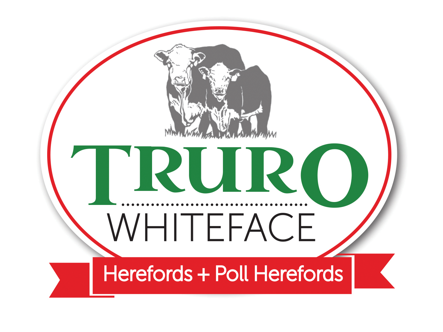 Truro Whiteface
