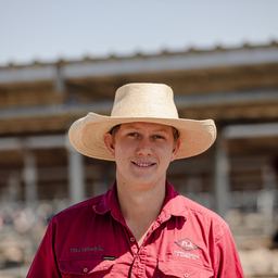 Jack Piercy - 