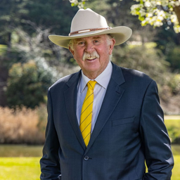 Simon Southwell - 