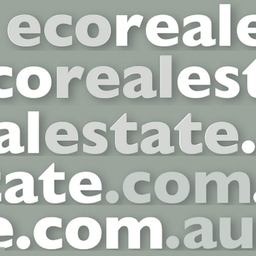 The Eco Real Estate Team - 