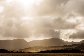 The Ultimate Guide To Buying Farms For Sale In Tasmania