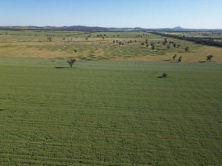 Top Little Farm Block Ready To Grow Wheat In 2027