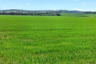 Productive + Versatile Mixed Farm For Sale SA