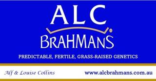 Why ALC Brahmans Puts Fertility First