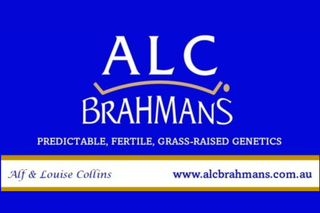 Why ALC Brahmans Puts Fertility First
