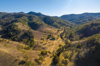 Cattle Property For Sale In Picturesque Mid North Coast NSW