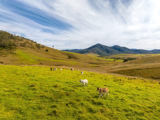Rare Chance To Secure Large Rural Property For Sale NSW