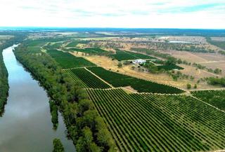 Large Scale Citrus + Table Grape Property For Sale QLD