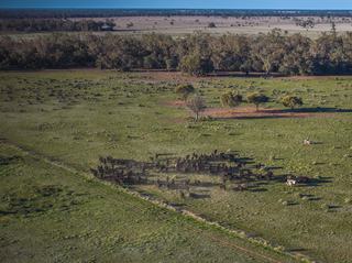 Premium Mixed Farm For Sale Offers Compelling Investment Opportunity
