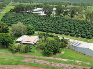 Thriving Chicken Farm + Avocado Orchard For Sale QLD
