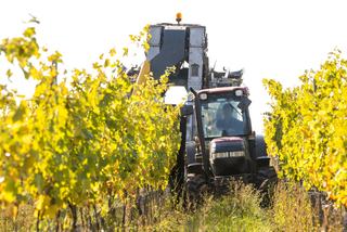 Five Bottler Wineries For Sale In Australia
