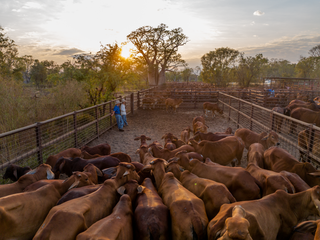 10 Common Stud Stock Mistakes and How to Avoid Them