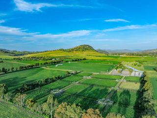 Masterpiece For Sale In Australia’s Equine ‘Golden Triangle’