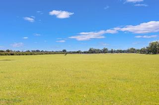 Home Of 2025 Golden Saddle Winner For Sale WA