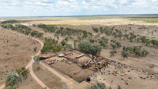 Long-Established, Institutional-Scale Cattle Station For Sale QLD