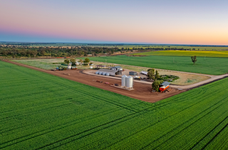 Productive Broadacre Farm for Sale In Premier NSW Region