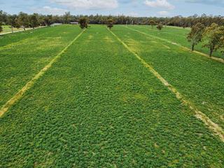 Outstanding Rural Properties For Sale Northern VIC
