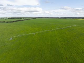 Balanced Cropping And Grazing Property For Sale SA