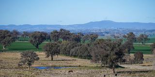 Productive Grazing Property For Sale NSW Central West