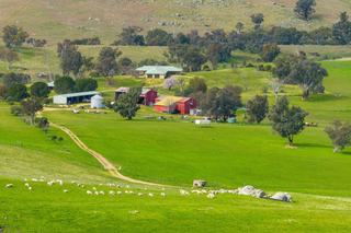 Prime Mixed Farm For Sale NSW South West Slopes