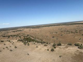 Large-Scale Western NSW Grazing + Farming Property For Sale