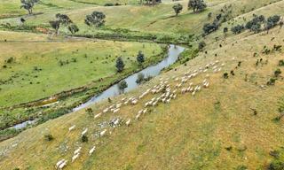 Rare Opportunity To Secure Substantial Rural Holding For Sale NSW