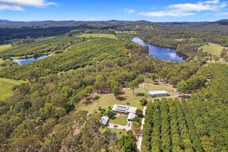 Macadamia Farm For Sale Queensland Near Noosa